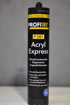 Profitec P 581 Express Acryl 310 ml Acrylat-Dichtstoff schnell trockenend