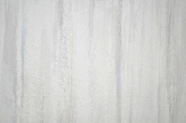 Prägetapete Muster gestreift Eurorolle 10,05 x 0,53 m